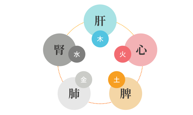 東洋医学5つのタイプ